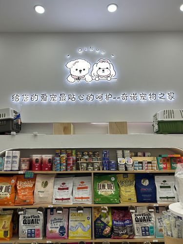 青岛这家宠物店太棒了