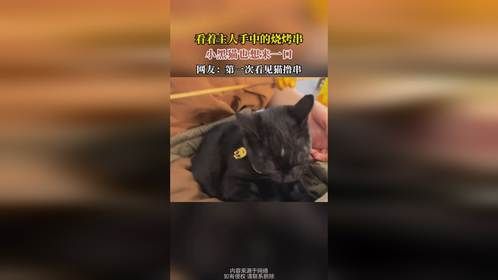看着主人手中的烧烤串，小黑猫也想来一口，网友：第一次看见猫撸串