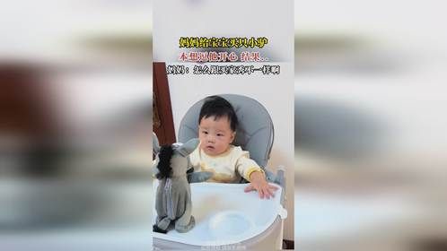 妈妈给宝宝买只小驴，本想逗他开心 结果..妈妈：怎么跟买家秀不一样啊