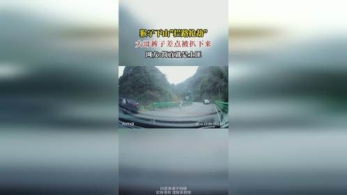 猴子下山拦路抢劫，大哥裤子差点被扒下来，网友简直就是土匪