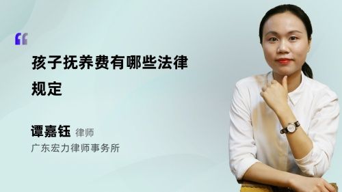 孩子抚养费有哪些法律规定