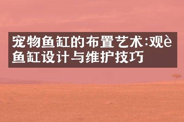 宠物鱼缸的布置艺术:观赏鱼缸设计与维护技巧