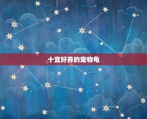 十宜好养的宠物龟，打算养宠物龟，求推荐！价格100以内。