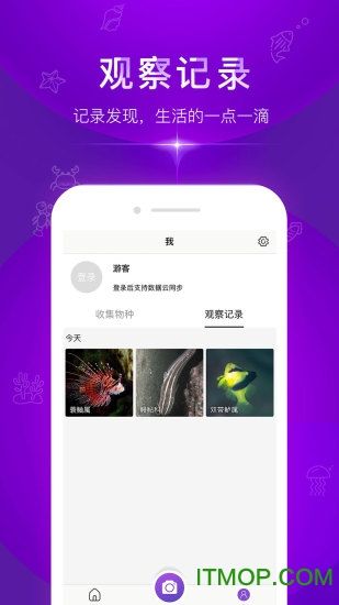 问鱼app下载