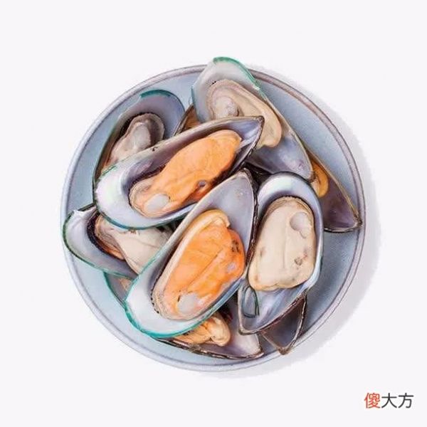 添加青口贝和海鱼 海带子和青口贝