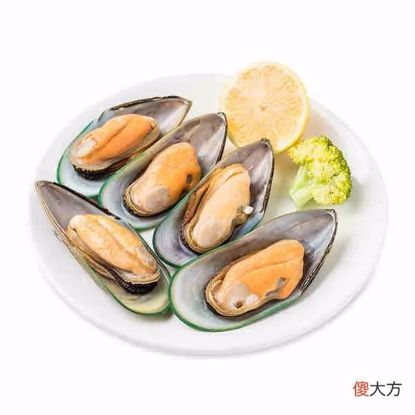添加青口贝和海鱼 海带子和青口贝