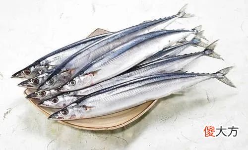 添加青口贝和海鱼 海带子和青口贝