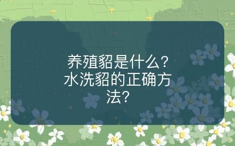 养殖貂是什么?水洗貂的正确方法?
