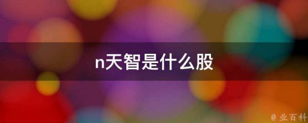 n天智是什么股