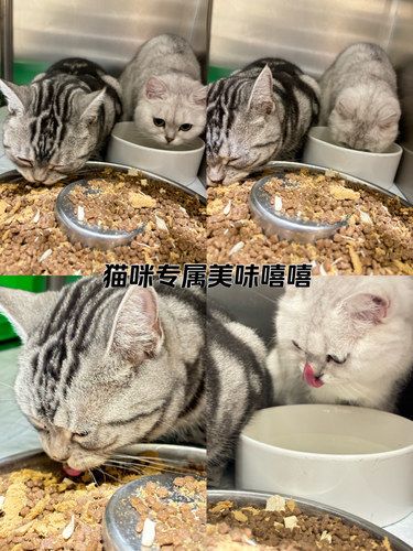 大连市有一家宠物医院