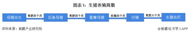 图表1：生猪养殖周期