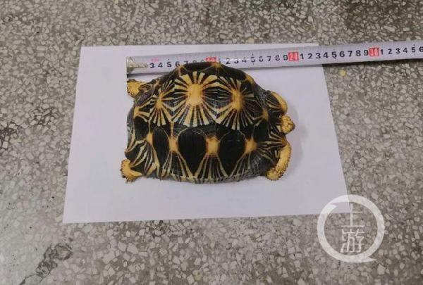 微信图片_20190408190309.jpg