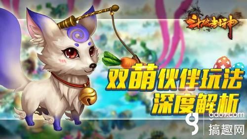 室内萌宠科普乐园，让爱与知识共存的宠物天地