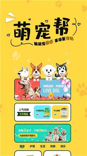 探索中华萌宠乐园，一个充满乐趣与知识的宠物天堂