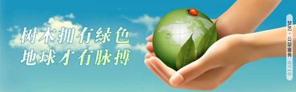 芙蓉鸟雏鸟的喂养小常识