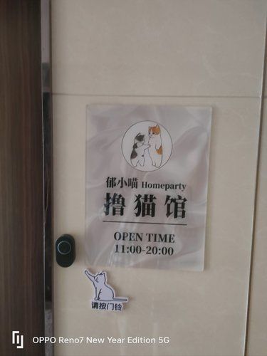 郁小喵的撸猫时光
