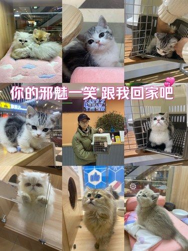 崽你在玩火成功吸引了我！回家！