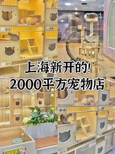 上海！宠物店2000平方！ 来这里实现猫狗双