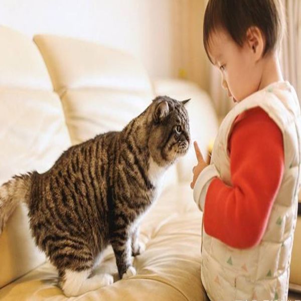萌娃4.jpg
