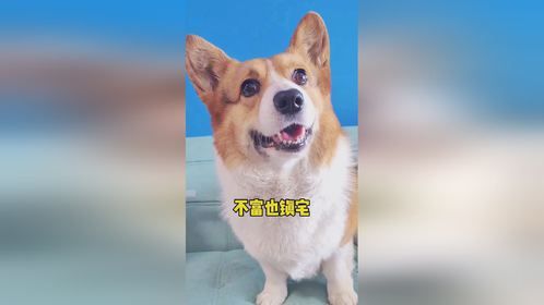 选宝宝得选这种标准的！