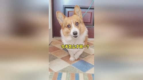 持续发懵中...