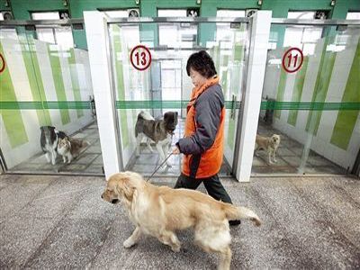 宠物寄养的费用是多少