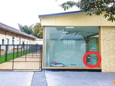 宠物酒店寄养宠物 被陌生柴犬咬了一口