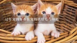 过年宠物寄养在宠物店好处与坏处