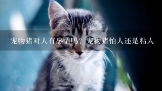 宠物猪对人有感情吗？宠物猪怕人还是粘人