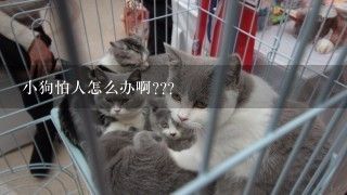小狗怕人怎么办啊???