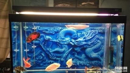 广州鱼缸哪里买最便宜的好点儿：广州水族箱养护与维护指南 广州水族批发市场 第3张