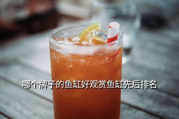 国内鱼缸什么牌子好用：国内外鱼缸品牌对比国内外鱼缸品牌对比国内外鱼缸养护指南 鱼缸风水 第1张