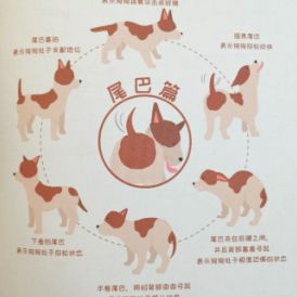微信图片_20201124143604.png