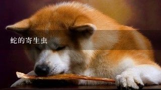 蛇的寄生虫