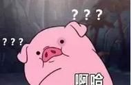 揭秘：女子带宠物猪乘火车的奇遇与挑战