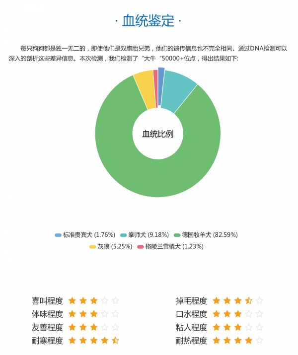 小型宠物狗安全用药检测_狗狗医疗药用相关
