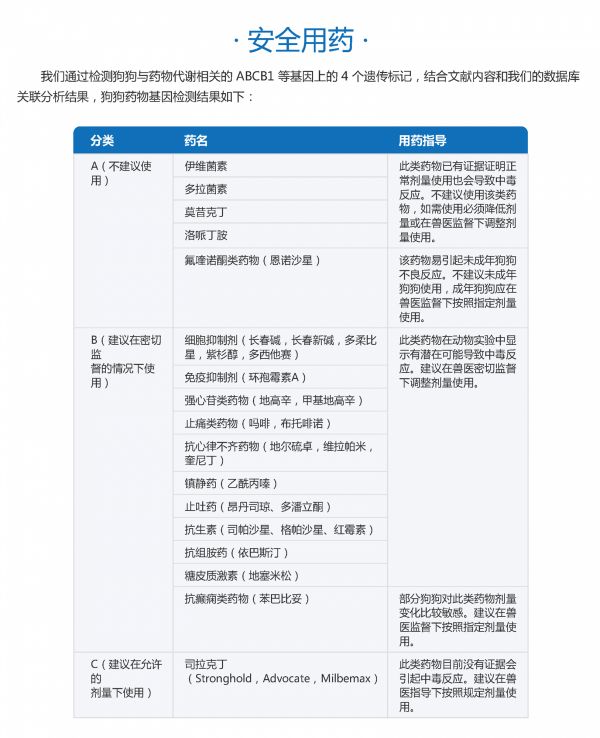 深圳宠物狗基因检测机构_上海商务服务