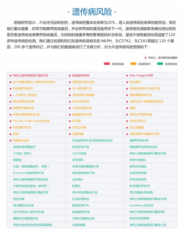 湖北布鲁氏菌试纸_抗体检测相关