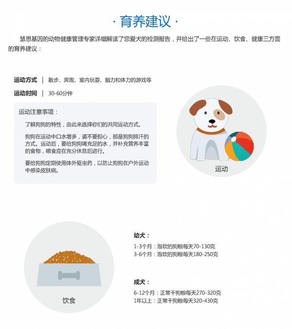 上海宠物狗基因检测_广东商务服务安全用药检测