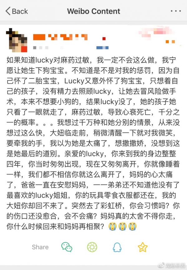 网络上充斥着宠物因麻醉药致死的消息，有的犬种甚至因过敏风险过高被拒绝进行绝育手术