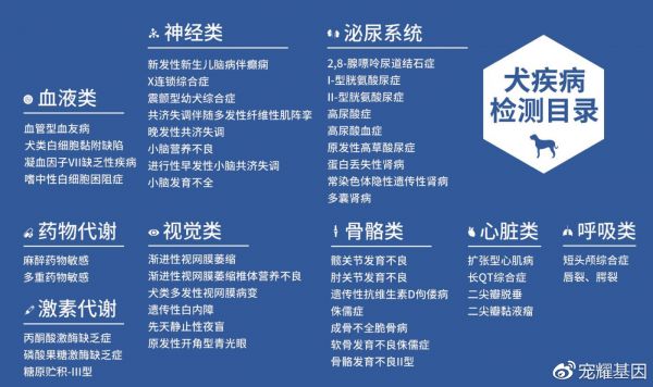 针对猫咪的部分可检测疾病的类别↑