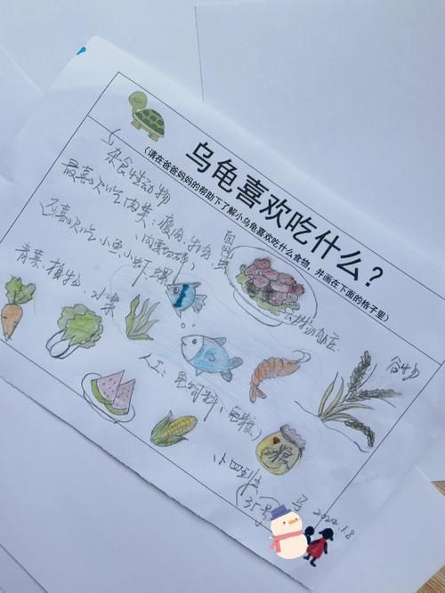 乌龟吃什么食物,乌龟吃什么食物好养活