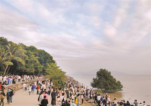 周末市民在深圳湾游玩。 深圳晚报记者 周怡 摄