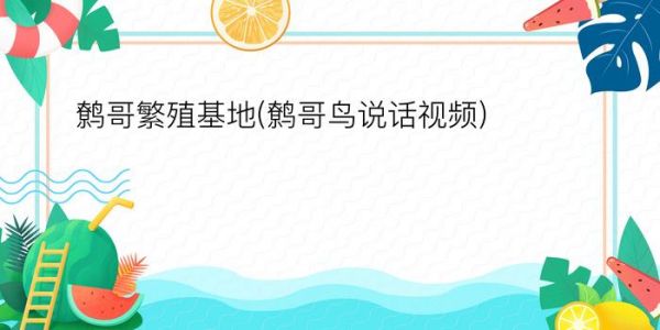 鹩哥繁殖基地(鹩哥鸟说话视频)