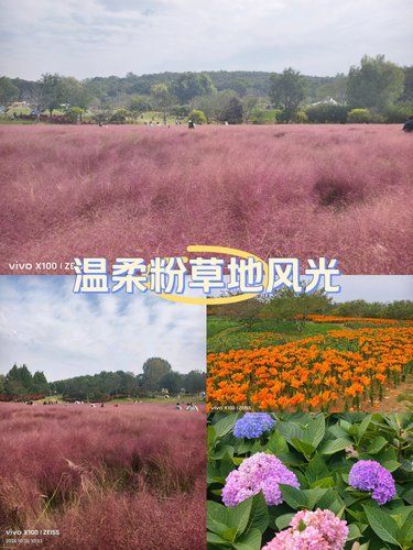 英歌石植物园