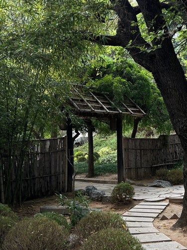 是大连！不是江南…谁懂植物园的含金量啊…