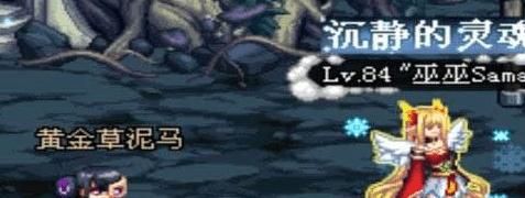 DNF宠物提升有多大? 不带伤害降低几个E