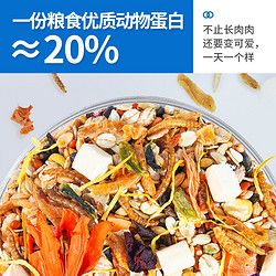 Jonsanty 宠尚天 宠物仓鼠粮 2LB