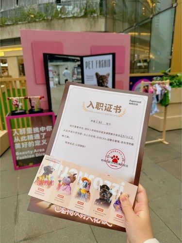 成都！居然在公开招募打工喵和打工汪