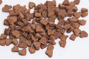 都是宠物干粮，膨化/风干/烘焙粮怎么区分?